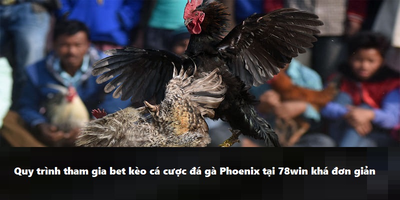 Quy trình tham gia bet kèo cá cược đá gà Phoenix tại 78win khá đơn giản