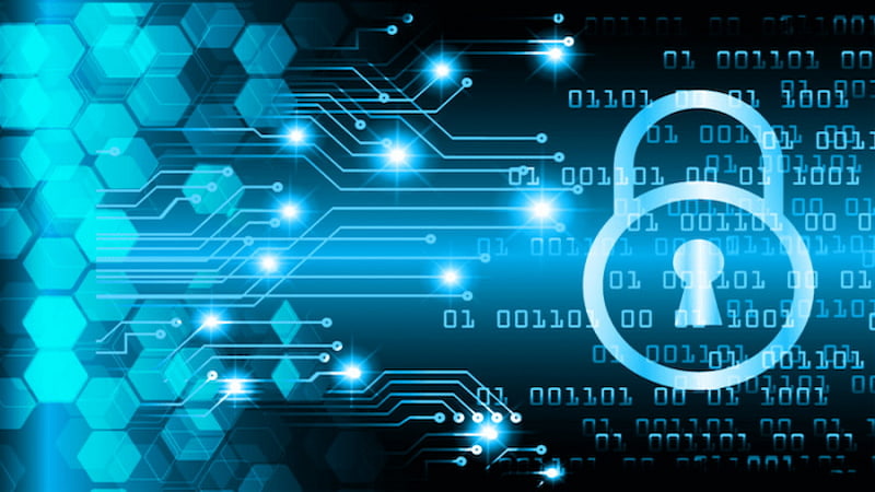 Tìm hiểu về chính sách trách nhiệm & an toàn tại 8DAY